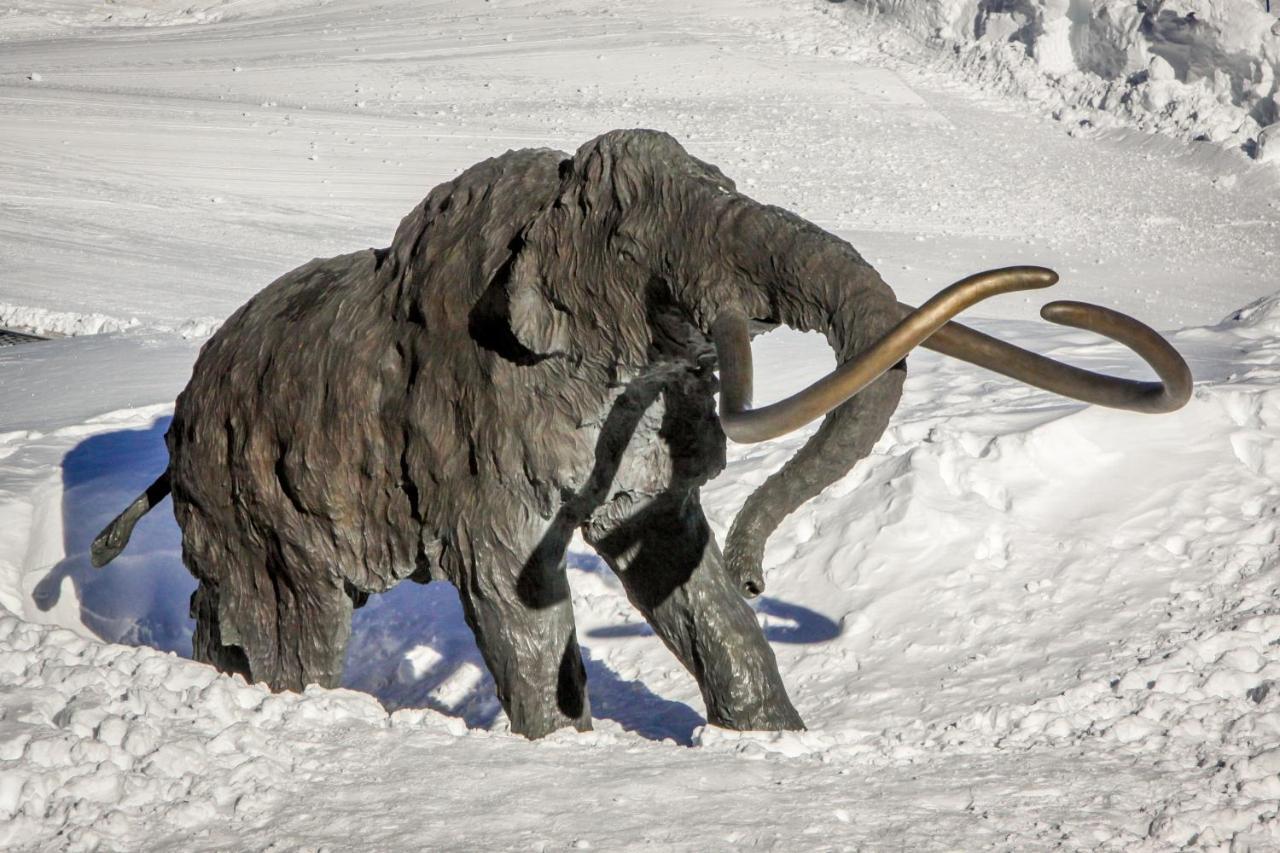 Sierra Megeve Διαμέρισμα Μαμούθ Λέικς Εξωτερικό φωτογραφία